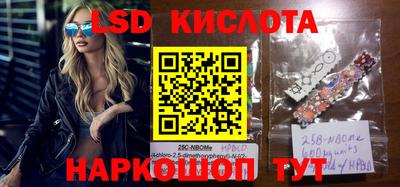 spice Славгород