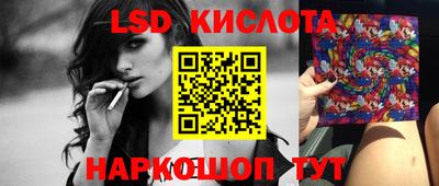 spice Славгород