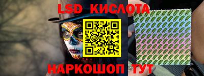 spice Славгород