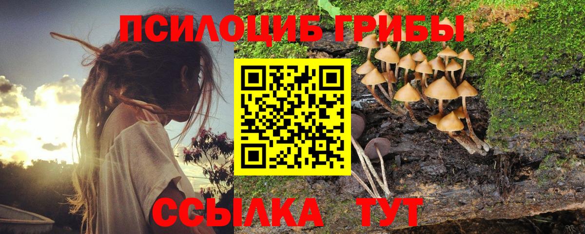 Псилоцибиновые грибы Cubensis  Вход с VPN  Омск 