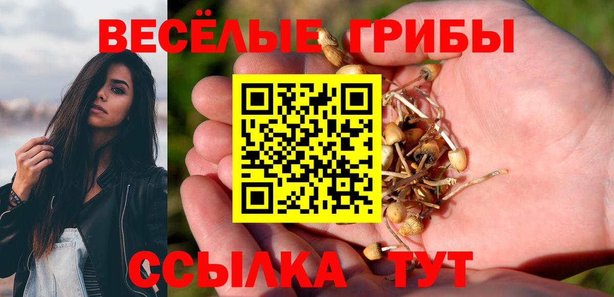 Псилоцибиновые грибы GOLDEN TEACHER Омск